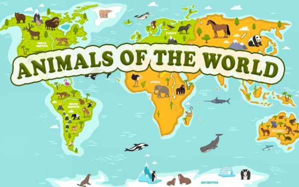 Animals of the World - Geography Learning Game